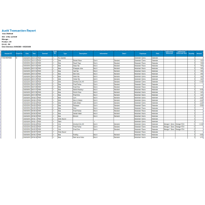 Audit Transcation Report