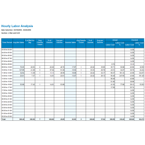 Hourly Labor Analysis